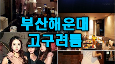 해운대고구려 착한주대 대표 욕망의해결사  부산비비기