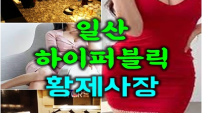 하이퍼블릭 진실성 있는 서비스맨 기회를 한번 주세요 퍼블릭업소시스템 일산술집